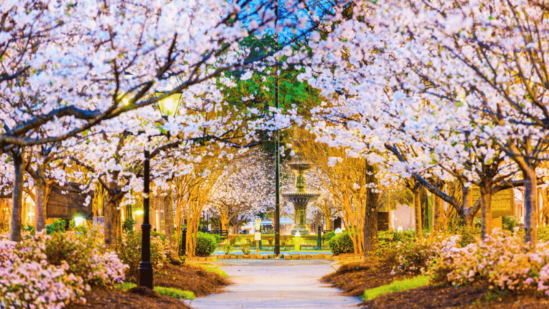 walkway in Macon Georgia