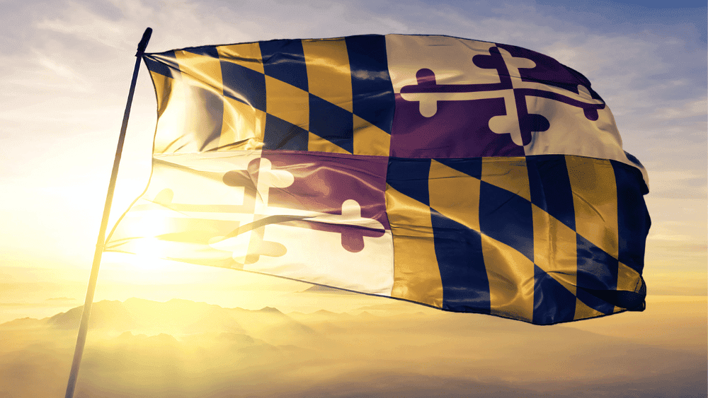 Maryland state flag