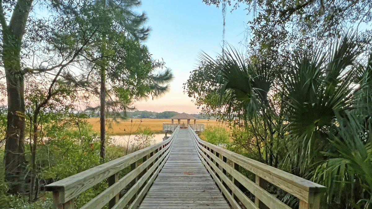 Marsh View from Freedom Park-Hilton Head South Carolina