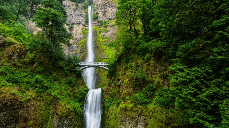 oregon travel nurse salary