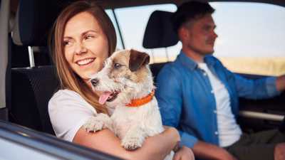 Travel Nursing With Pets: The Complete Guide